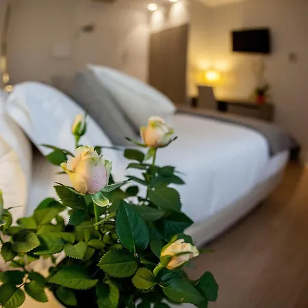 ホテル Colectia Urumea 2*