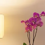 Hotel Colectia Urumea 2*